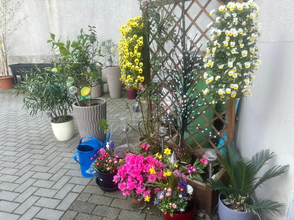 Kaethe-Kollwitz-Strasse 54, F2 Apartment Altenburg Bagian luar foto